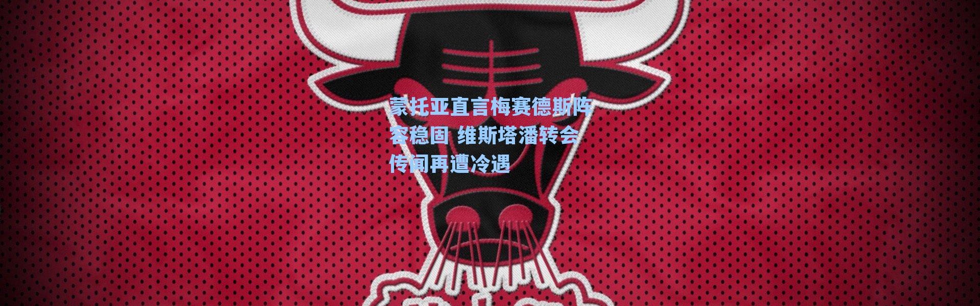 蒙托亚直言梅赛德斯阵容稳固 维斯塔潘转会传闻再遭冷遇