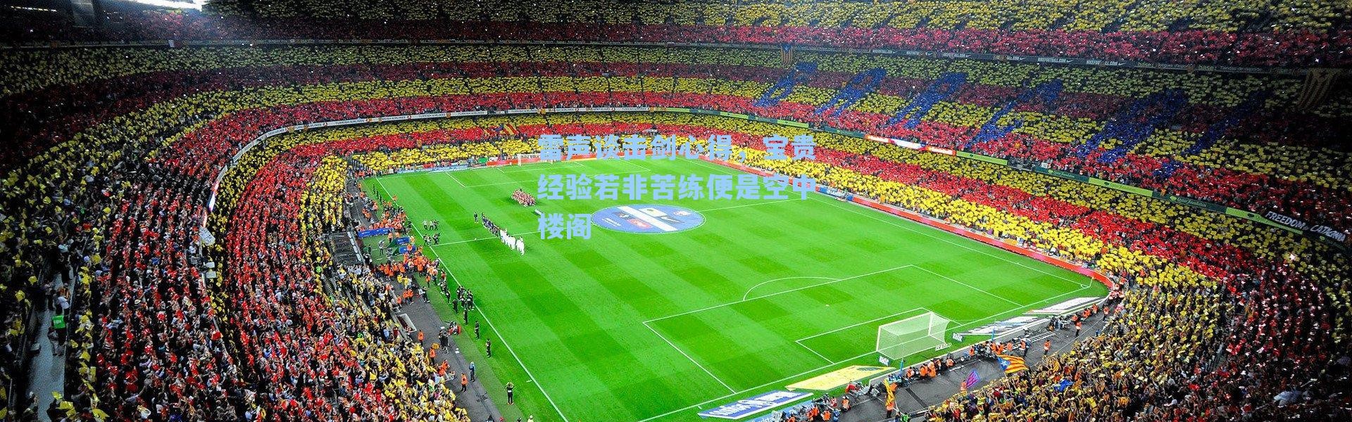 雷声谈击剑心得,宝贵经验若非苦练便是空中楼阁