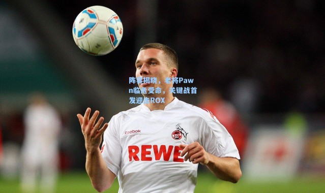 阵容揭晓，老将Pawn临危受命，关键战首发迎击ROX