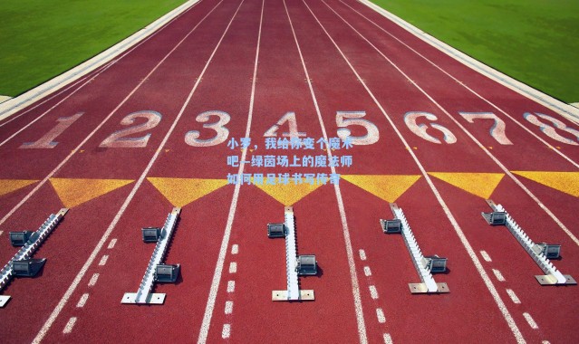 小罗,我给你变个魔术吧—绿茵场上的魔法师如何用足球书写传奇