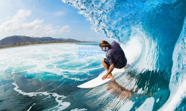 戈塔特盛赞沃尔,重启第一控卫模式 他把我喂胖了