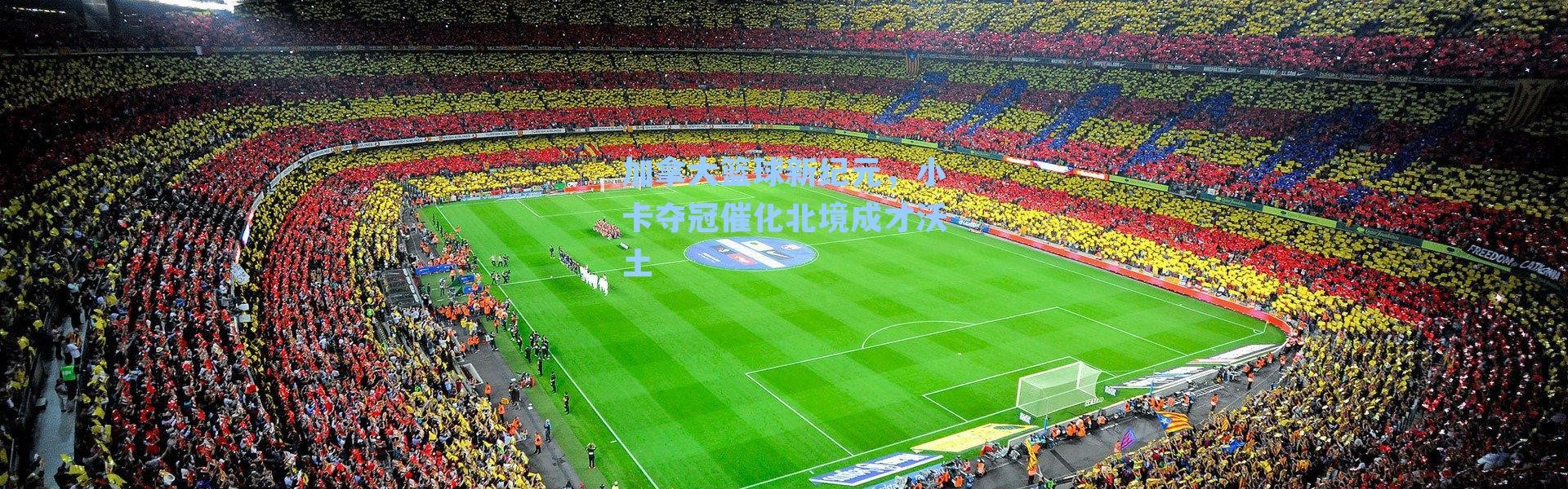 加拿大篮球新纪元,小卡夺冠催化北境成才沃土