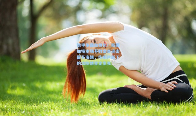 德甲争霸白热化！斯图加特主场不败金身迎击霍芬海姆，伤病阴影下的攻防博弈定生死