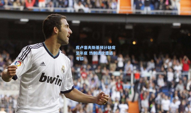 库卢塞夫斯基预计缺席至年底 热刺进攻遭遇考验